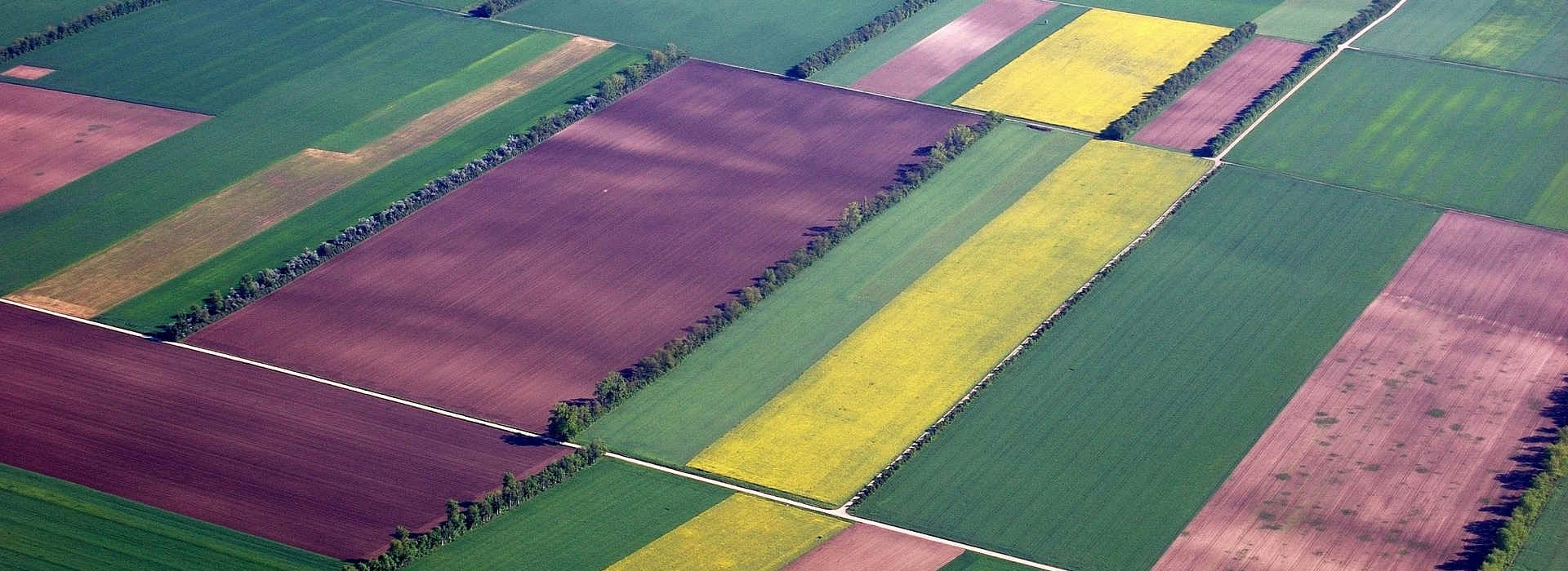 Hoe lopen de kadastrale grenzen van een perceel